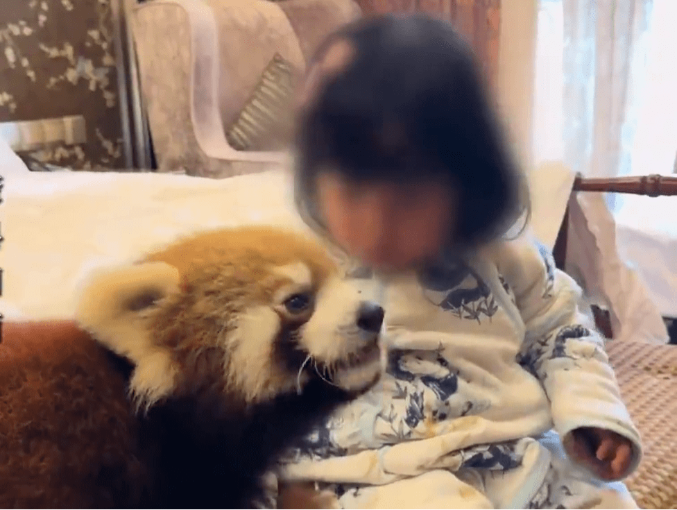 vlcsnap-2025-06-18-17h25m53s064